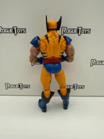 Hasbro Marvel Legends Wolverine (Tiger Stripes) Apocalypse BAF Wave