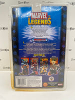 ToyBiz Marvel Legends Series III Magneto