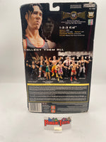 Jakks Pacific WWE Collector Series #11 Classic Super Stars 1-2-3 Kid