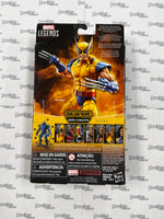 Marvel Legends Series X-Men Wolverine action figure