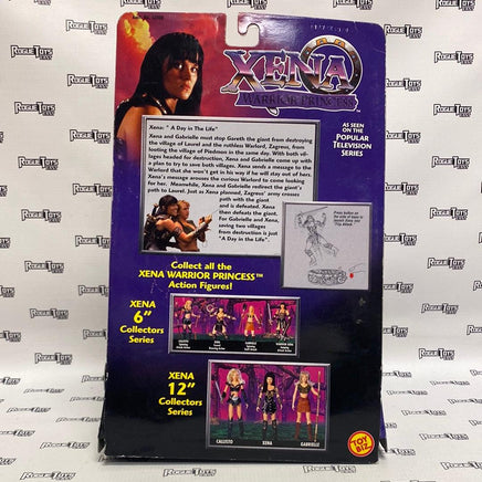ToyBiz Xena Warrior Princess Warrior Xena A Day in the Life - Rogue Toys