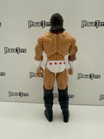 Jakks Pacific WWE Deluxe Aggression Series 8 CM Punk