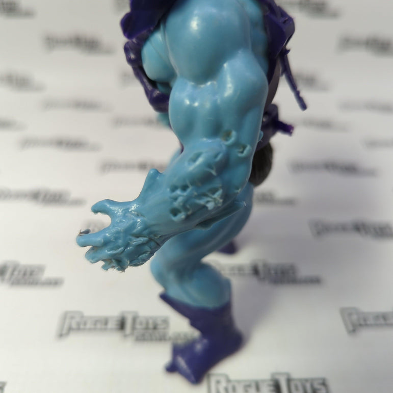 Mattel Masters of the Universe Skeletor