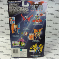 Hasbro Batman Beyond Bat-Hang Batman