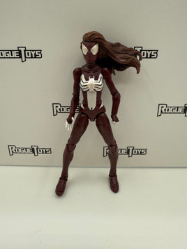 Hasbro Marvel Legends Hobgoblin Series Warriors of the Web Spider-Woman