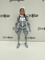 Hasbro Marvel Legends Spider-Man Silver Sable