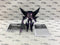 Transformers Prime Japan Arms Micron AM-16 Jet Vehicon & Igu