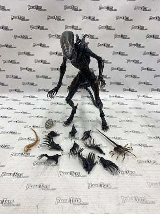 NECA Scorched Xenomorph (未開封品:外箱ダメージ有り) NECA Scorched Xenomorph (未開封品:外箱ダメージ有り) NECA