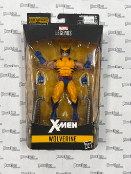 Marvel Legends Series X-Men Wolverine action figure