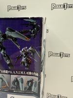 Bandai Tamashii Nations The Robot Spirits ZGMF-1017 Ginn (ver. A.N.I.M.E.)