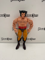 Hasbro Marvel Legends 5-Pack Wolverine (Amazon Exclusive)