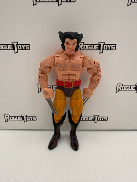 Hasbro Marvel Legends 5-Pack Wolverine (Amazon Exclusive)