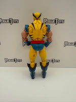 Hasbro Marvel Legends Wolverine from 80th Anniversary 2-Pack