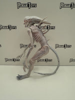 NECA Alien Covenant White Neomorph