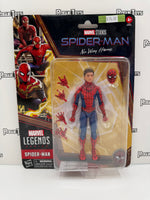 Hasbro Marvel Legends Spider-Man: No Way Home Spider-Man