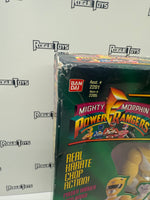 Bandai Mighty Morphin Power Rangers Karate Action Power Rangers Karate Choppin’ Trini