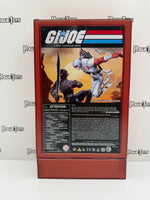 Hasbro G.I. Joe A Real American Hero (ARAH) Snake Eyes & Storm Shadow