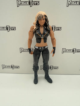 Mattel WWE Basic Series 36 #12 Kaitlyn