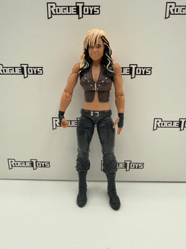 Mattel WWE Basic Best of 2013 Kaitlyn