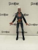 Hasbro Marvel Legends Blood Storm