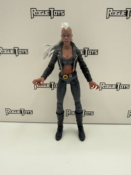 Hasbro Marvel Legends Blood Storm