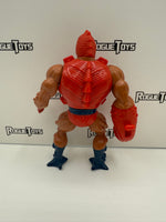Mattel Masters of the Universe (MOTU) Evil Warriors Clawful