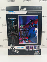 McFarlane Toys DC Multiverse Batman (Futures End) CTB Series Batman Beyond Batwoman