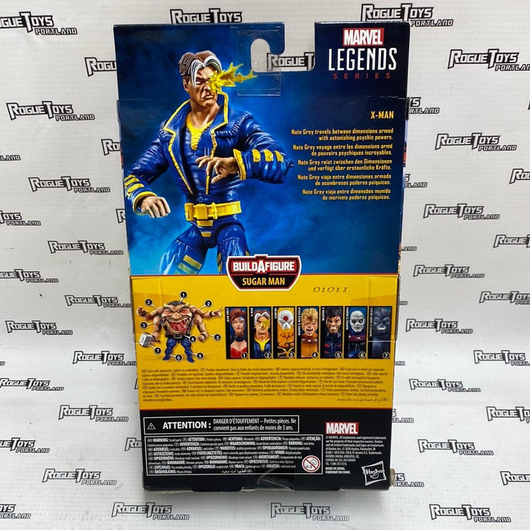 Hasbro Marvel Legends X-Men X-Man - Rogue Toys