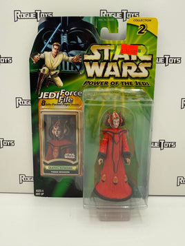 Hasbro Star Wars Power of the Jedi Collection 2 Queen Amidala (Theed Invasion)