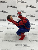 Marvel Legends Renew Your Vows Spider-Man