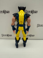 Hasbro Marvel Legends Wolverine Burning Claws Bonebreaker Series