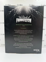 Mattel The Bride of Frankenstein Dolls from the Makers of Monster High Skullector