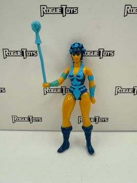 Mattel Masters of the Universe (MOTU) Evil Lyn