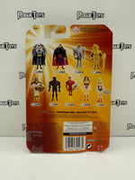 Mattel DC Super Heroes Justice League Unlimited Steel Figure