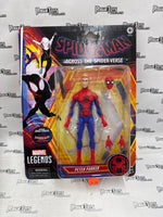 Marvel Legends Spider-Man Across the Spider-Verse | Peter Parker