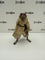 NECA Reel Toys Nickelodeon Teenage Mutant Ninja Turtles (TMNT) Splinter (GameStop Exclusive)