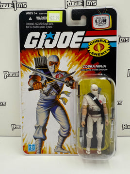 Hasbro G.I. Joe Cartoon Series Cobra Enemy! Cobra Ninja Storm Shadow