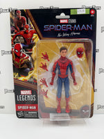 Hasbro Marvel Legends Spider-Man: No Way Home Spider-Man