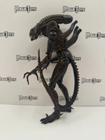 NECA Aliens Xenomorph Warrior (Brown)