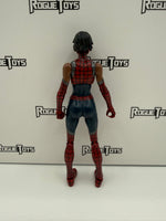 Hasbro Marvel Legends Web-Slinging Heroines Spider-Girl