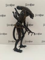 NECA Aliens Xenomorph Warrior (Brown)