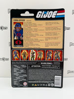 Hasbro G.I. Joe Cobra Enemy Cobra Officer