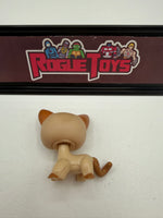 Hasbro Littlest Pet Shop (LPS) Stylin’ Pets Runway Shorthair Cat 1024