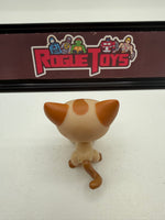 Hasbro Littlest Pet Shop (LPS) Stylin’ Pets Runway Shorthair Cat 1024