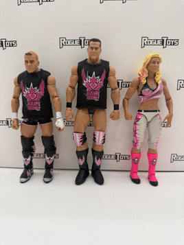 Mattel WWE Elite Collection Series 7 Tyson Kidd & David Hart Smith INCLUDING Basic Series 9 Natalya