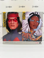 Hasbro Marvel Legends X-Men Storm & Marvel’s Thunderbird