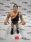 Hasbro WWF Andre The Giant Series 1