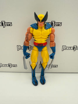 Hasbro Marvel Legends Red Hulk Series Wolverine
