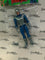 Hasbro Marvel Legends Retro Avalanche