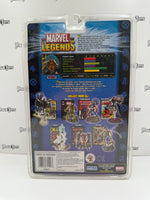 ToyBiz Marvel Legends Series VIII Storm